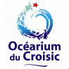  eticket enfant moins de 3ans Océarium du Croisic valable jusqu'au 05 Mars 2025