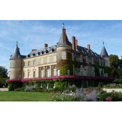 Tarif visite château de Rambouillet