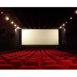 7,50€ Ticket cinémas Confluences