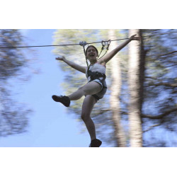 La forêt d'acrobates réduction